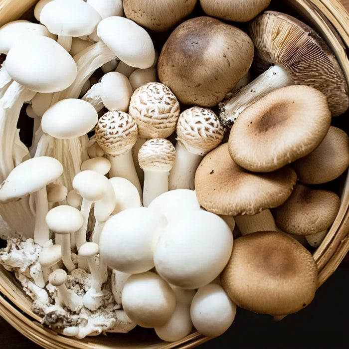 What are functional mushrooms