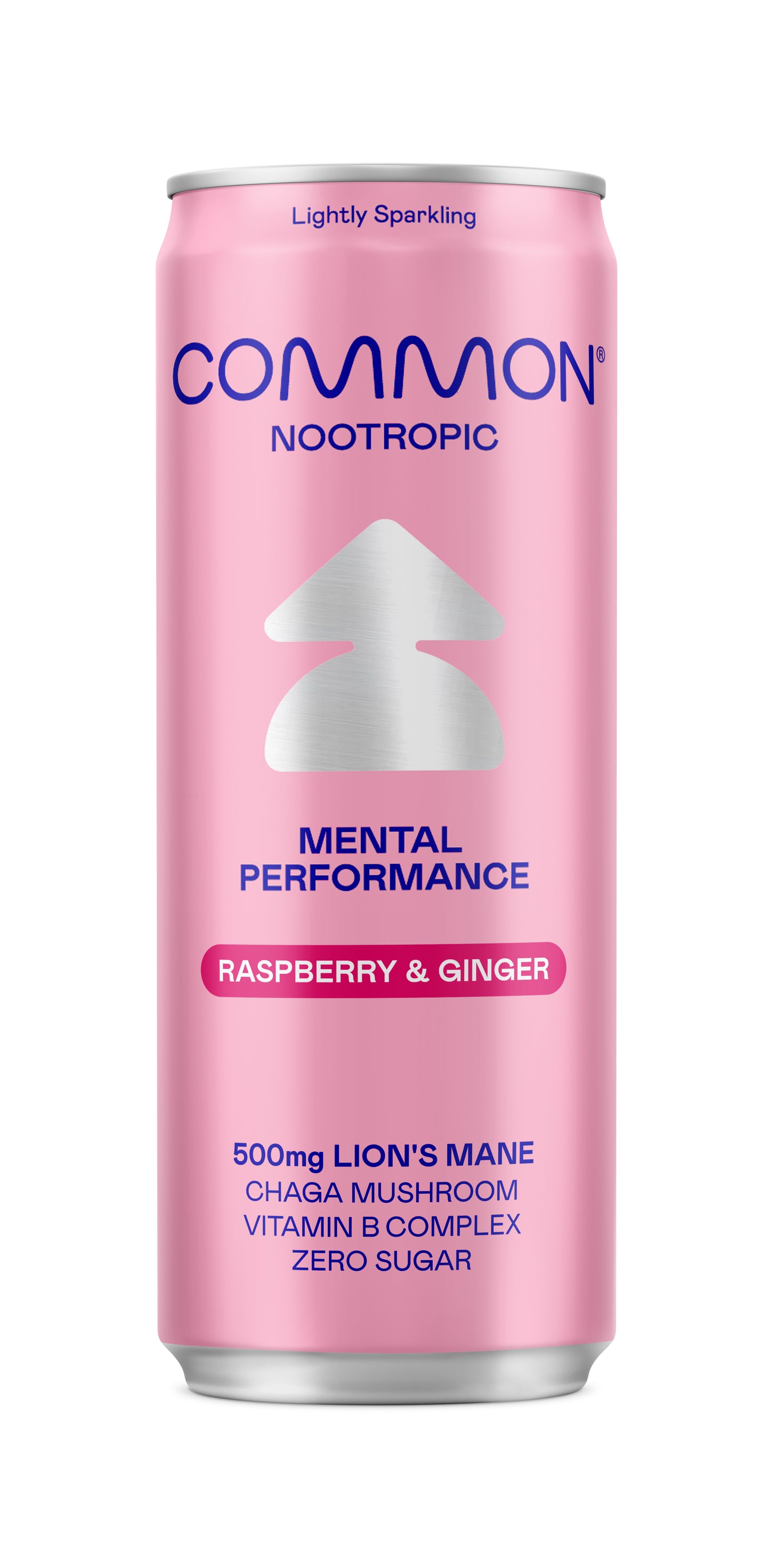 Nootropic Drink Raspberry & Ginger