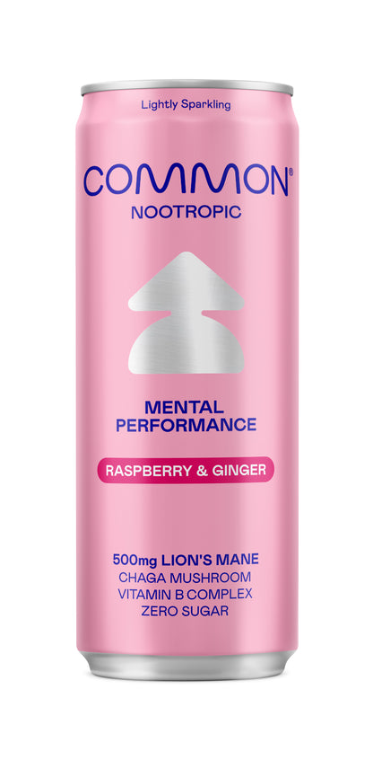 Nootropic Drink Raspberry & Ginger